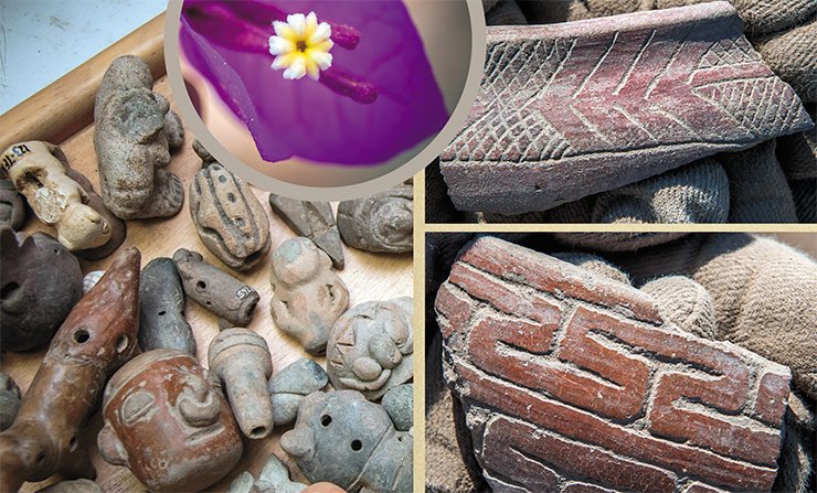Valdivia shards from Real Alto, decorated with a variety of ornaments, each of which carries coded information about the ancient culture Valdivia shards from Real Alto, decorated with a variety of ornaments, each of which carries coded information about the ancient culture