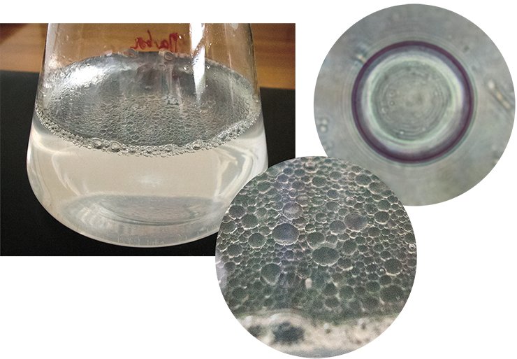 Hydrocarbons, including n-hexadecane used in the experiments, are practically insoluble in water; that is why under calm conditions they form a film on the water surface and quite large drops at being shaken up