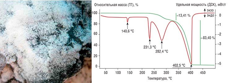 На термограмме масканьита (NH₄)₂SO₄ показаны ступени потери массы и связанные с ними эндотермические пики, характеризующие процессы плавления, разложения и возгонки минерала. Красная линия – сигнал ДСК, Зеленая линия – сигнал ТГ, слева – игольчатые и дендритные выделения масканьита