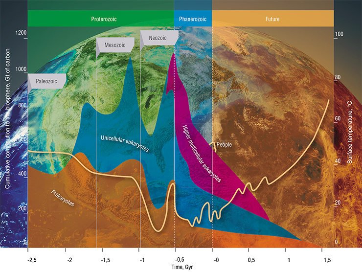 Based on our knowledge about the evolution of the Earth’s biosphere over the past 2.5 billion years, the heating of the planet should reverse the pattern of the evolutionary processes. When the temperature markedly exceeds 30 °С, there will be no higher multicellular organisms, and in 400–500 million years, the total mass of the biosphere (expressed in gigatons of carbon) will drop roughly by half. In 750 million years, there will be no eukaryotic organisms, and in another 1.5 billion years, there will be none of the currently existing prokaryotes (bacteria and archaea). Adapted from (Bounama et al., 2004), with additions by the author (Dobretsov, 2009) Based on our knowledge about the evolution of the Earth’s biosphere over the past 2.5 billion years, the heating of the planet should reverse the pattern of the evolutionary processes. When the temperature markedly exceeds 30 °С, there will be no higher multicellular organisms, and in 400–500 million years, the total mass of the biosphere (expressed in gigatons of carbon) will drop roughly by half. In 750 million years, there will be no eukaryotic organisms, and in another 1.5 billion years, there will be none of the currently existing prokaryotes (bacteria and archaea). Adapted from (Bounama et al., 2004), with additions by the author (Dobretsov, 2009)