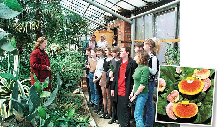 The huge collection of Basnin’s successor – Irkutsk State University Botanical Garden – is used for scientific and educational purposes, as well as for the city beautification and supplying citizens with planting material. Photo taken in the Irkutsk State University Botanical Garden The huge collection of Basnin’s successor – Irkutsk State University Botanical Garden – is used for scientific and educational purposes, as well as for the city beautification and supplying citizens with planting material. Photo taken in the Irkutsk State University Botanical Garden