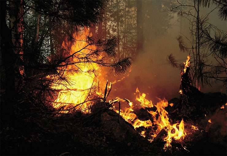 Burning forest in the Yuganskiy nature reserve. Photo by S. Krivonogov and V. Pereyaslovets Burning forest in the Yuganskiy nature reserve. Photo by S. Krivonogov and V. Pereyaslovets