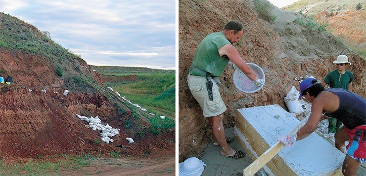В мешках на месте раскопа – красная глина с мелкими костными останками, подготовленная для промывки. Найденные кости вместе с породой заключались в гипсовые монолиты с оболочкой из досок. Им предстояла долгая дорога до Москвы и тщательная препаровка в лабораториях ПИН РАН