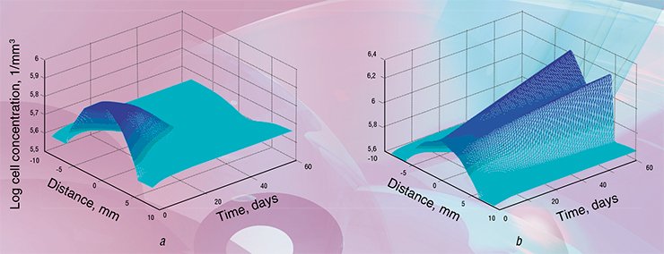 Results of the evolution modeling for the tumor appearing in the tissue with the “normal” (10 pg/ml; a) and “elevated” (25 pg/ml; b) background concentrations of the stress biomarker Interleykin 6. With the normal IL-6 levels natural regulatory systems are capable of suppressing the tumor (a). At the elevated IL-6 levels tumor grows rather fast until its core becomes necrotic (cell concentration in its center starts to fall)