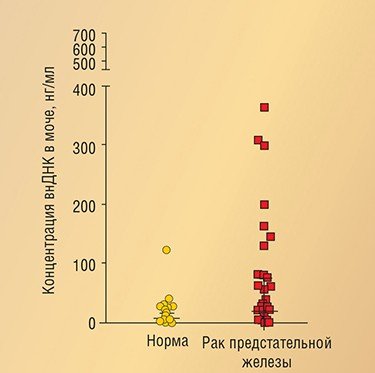 Распределение в моче циркулирующей внеклеточной ДНК у здоровых мужчин и у мужчин с опухолями предстательной железы значительно отличается. При патологии увеличивается концентрация внеклеточной ДНК в моче