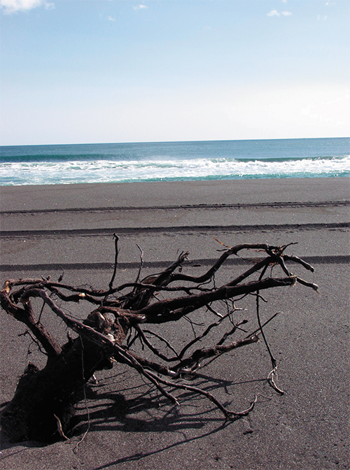 On warm days the famous huge Khalaktyr black beach in Petropavlovsk-Kamchatsky is a splendid place for rest