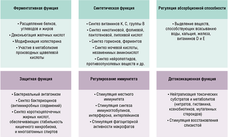 Спектр функций нормального кишечного микробиома крайне широк – недаром его иногда выделяют в качестве отдельного органа человека. Соединения, вырабатываемые микроорганизмами, активно участвуют практически во всех метаболических процессах в организме человека. По: (Полунина, 2018)