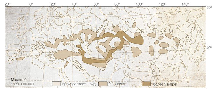 Основной ареал рода солодка (Glycyrrhiza L.) находится на территории Евразии. По: (Гранкина, 2000) Основной ареал рода солодка (Glycyrrhiza L.) находится на территории Евразии. По: (Гранкина, 2000)
