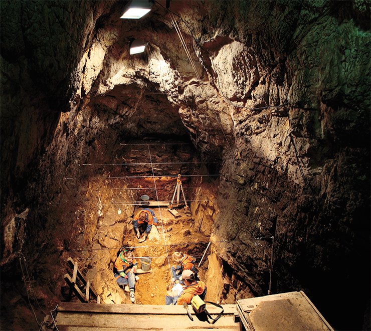 The total area of the cave is 270 m². Branching off from the central hall is a system of galleries: the eastern and southern narrow dark galleries go in the interior of a karst mass, where they are completely blocked by loose deposits. The third gallery leads to the site in front of the entrance. The photograph shows a dig in the eastern gallery of the Denisova Cave. Photographed by S. I. Zelensky The total area of the cave is 270 m². Branching off from the central hall is a system of galleries: the eastern and southern narrow dark galleries go in the interior of a karst mass, where they are completely blocked by loose deposits. The third gallery leads to the site in front of the entrance. The photograph shows a dig in the eastern gallery of the Denisova Cave. Photographed by S. I. Zelensky