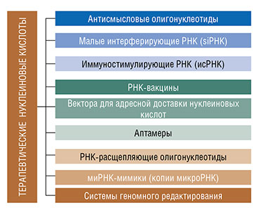 Терапевтические препараты, созданные на основе олигонуклеотидов