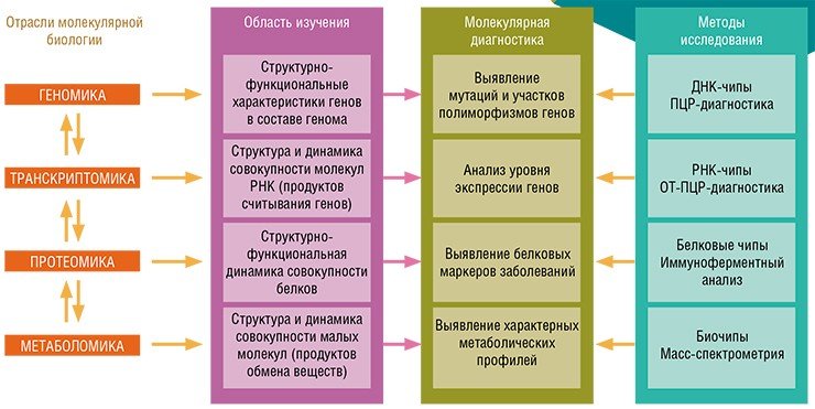 Своими успехами современная персонализированная медицина и, в частности, молекулярная диагностика болезней, обязана методам и подходам, разработанным в рамках передовой молекулярной биологии, которая занимается изучением процесса реализации наследственной информации на уровне целостного организма