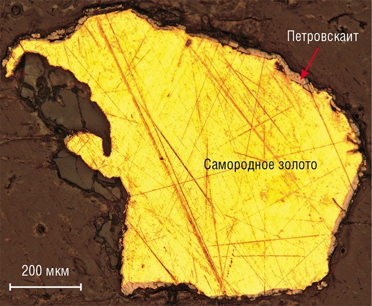 Энергодисперсионная съемка образца самородного золота (вверху) на сканирующем электронном микроскопе позволяет выявить распределение атомов серебра (а), золота (б) и серы (в). Темная «рубашка» вокруг самородного золота содержит, помимо золота и серебра, еще и серу. Судя по соотношению элементов, это минерал петровскаит (AgAuS). Месторождение Хопто (Тыва)