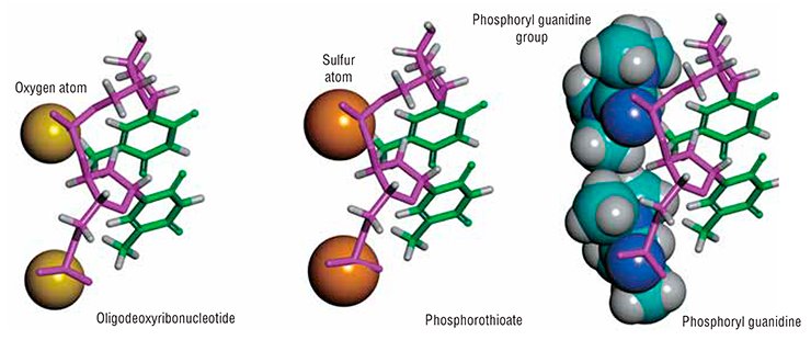 Nucleic acids are natural biopolymers whose macromolecules consist of multiply repeated units, nucleotides. The nucleotide is formed of a heterocyclic base, a monosaccharide (ribose or deoxyribose) and a phosphate group. The known sulfur-containing analogues of nucleic acids, phosphorothioates, carry negatively charged phosphorothioate groups instead of the phosphate groups, and phosphoryl guanidines carry on uncharged phosphoryl guanidine groups