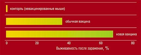 Новая вакцина более эффективно защитила лабораторных мышей при заражении их вирусом гриппа