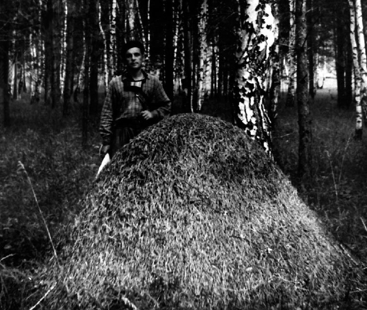 И.В. Стебаев, 1955 г. 