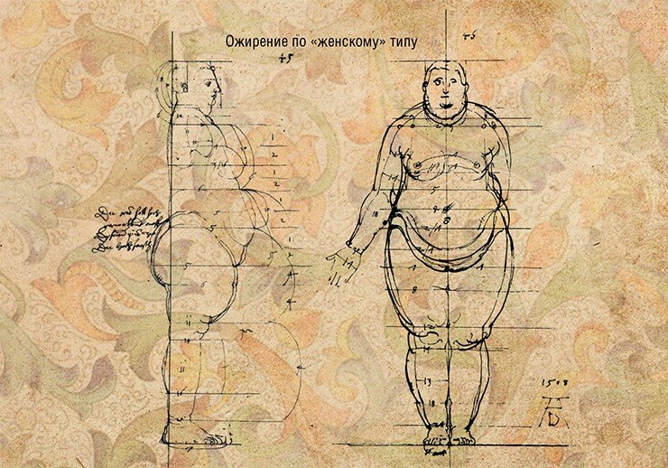 Тип ожирения человека определяется, как правило, его половой конституцией. У женщин жир откладывается преимущественно под кожей, у мужчин – в брюшной полости (так называемый «пивной животик»). При этом женщинам не стоит стремиться к полному искоренению жировой прослойки: в жировых клетках дополнительно синтезируются женские половые гормоны, что особенно важно в постклимактерический период Тип ожирения человека определяется, как правило, его половой конституцией. У женщин жир откладывается преимущественно под кожей, у мужчин – в брюшной полости (так называемый «пивной животик»). При этом женщинам не стоит стремиться к полному искоренению жировой прослойки: в жировых клетках дополнительно синтезируются женские половые гормоны, что особенно важно в постклимактерический период