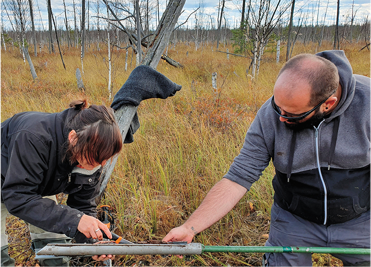 Russian researchers with their Romanian and German colleagues in a mire near the village of Teguldet (Tomsk region). Photo by author Russian researchers with their Romanian and German colleagues in a mire near the village of Teguldet (Tomsk region). Photo by author
