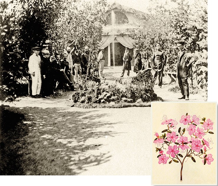 The longitudinal alley, Basnins’ Garden. 1869 Photo from Zenkovich’s archive The longitudinal alley, Basnins’ Garden. 1869 Photo from Zenkovich’s archive