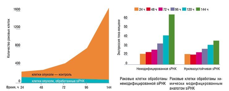 Слева: блокирование размножения раковых клеток человека под действием малой интерферирующей РНК, направленной против матричной РНК гена c-myc. Справа: введение в состав интерферирующих РНК химически-модифицированных оснований увеличивает длительность действия препаратов при сохранении их биологической активности