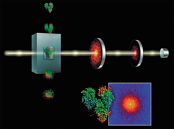 With the help of supershort pulses of high-energy X-ray radiation, a high-capacity free-electron laser is able to create a 3D image of individual molecules. SLAC National Accelerator Laboratory