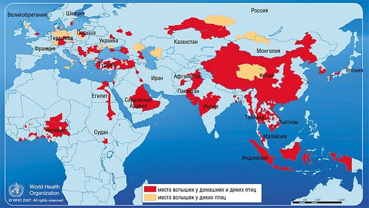 Места вспышек заболеваний птиц, вызванных вирусами гриппа подтипа H5N1 в 2003—2007 гг. (на 17.10.07). Данные Всемирной организация здоровья животных и правительственных органов стран, вовлеченных в эпизоотии