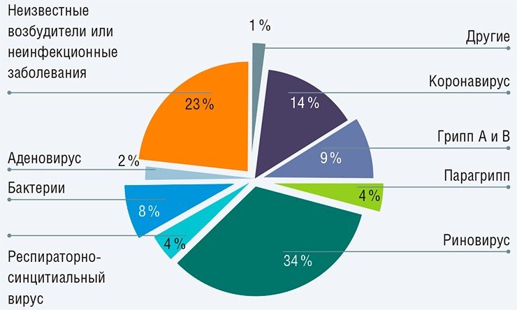 Этиология респираторных заболеваний, вызываемых вирусами и бактериями. Данные по городу Текамси, штат Мичиган, США (по: Monto, 2002)
