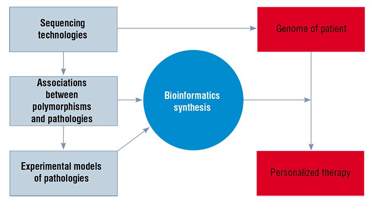 The basic methodological principle in approaching the ideal stated by Hippocrates – “to treat a patient rather than a disease” – is in the integration, on the basis of systems biology, of genome technologies, genomics, and experimental study of genetically determined human pathologies The basic methodological principle in approaching the ideal stated by Hippocrates – “to treat a patient rather than a disease” – is in the integration, on the basis of systems biology, of genome technologies, genomics, and experimental study of genetically determined human pathologies