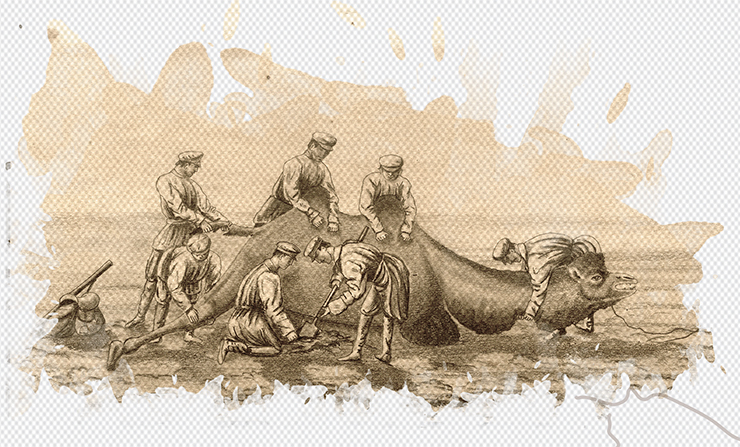 Digging out a camel stuck in the sand. 1879. Paper, pencil. Smolensk State Museum and Reserve