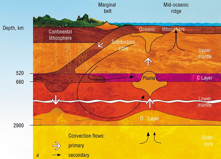 In the subduction zone the lithospheric (oceanic) plate sinks in the mantle (a) as the plates converge. The greater part of the slab substance plunges in the C layer but partially the material of the lithosphere descends down to the D `` layer (a transitional layer between the core and the mantle). The superplume (b) originates in the D `` layer. The substance uplifts from liquid “lenses” which contain partially melted mantle material and are characterized by ultra-low seismic wave velocities. The superplume rises from the D `` layer in the form of a huge mushroom; the head of the mushroom has remained in the transitional layer between the upper and lower mantle (a). From this layer the substance rises towards the Earth’s surface in the form of small plumes In the subduction zone the lithospheric (oceanic) plate sinks in the mantle (a) as the plates converge. The greater part of the slab substance plunges in the C layer but partially the material of the lithosphere descends down to the D `` layer (a transitional layer between the core and the mantle). The superplume (b) originates in the D `` layer. The substance uplifts from liquid “lenses” which contain partially melted mantle material and are characterized by ultra-low seismic wave velocities. The superplume rises from the D `` layer in the form of a huge mushroom; the head of the mushroom has remained in the transitional layer between the upper and lower mantle (a). From this layer the substance rises towards the Earth’s surface in the form of small plumes