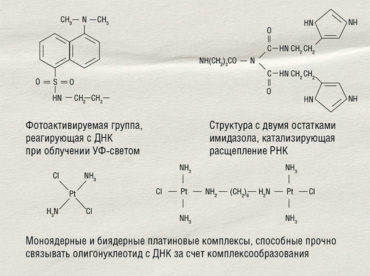 Примеры различных реакционноспособных групп для производных олигонуклеотидов, разработанных в НИБХ АН СССР