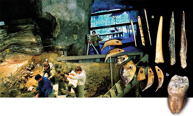 Detailed study of artifacts in the Denisova Cave. Photo by P. Labetsky. A tooth of one of the first Asian Homo sapiens is the most rare find in the Denisova Cave. A unique assemblage of artifacts of animal bones and teeth found in the Denisova Cave: a — bone needles and awls; b — a very ancient necklace of fox’s and maral’s teeth. Photo by V. Kavelin