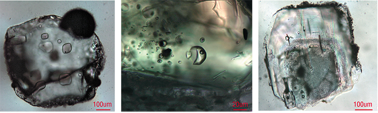 Mineral crystals from the pumice samples collected at Cape Konakov, with clearly visible melt inclusions, carry invaluable information about the preparations for a volcanic catastrophe. Left to right: quartz, pyroxene, plagioclase
