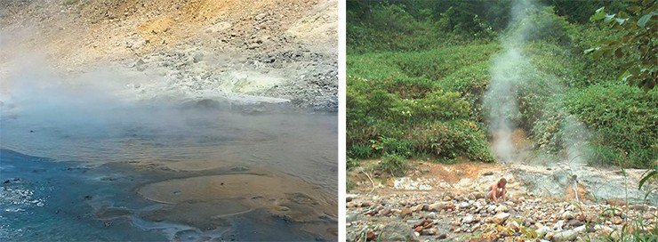 Диатомовые водоросли освоили не только горячие источники Курильских островов, но и ледовый покров сибирского пресноводного «моря» – озера Байкал. Фото Г. Белякова (г. Лесосибирск) (вверху) и Т. Земской (ЛИН СО РАН, г. Иркутск) (внизу) Диатомовые водоросли освоили не только горячие источники Курильских островов, но и ледовый покров сибирского пресноводного «моря» – озера Байкал. Фото Г. Белякова (г. Лесосибирск) (вверху) и Т. Земской (ЛИН СО РАН, г. Иркутск) (внизу)