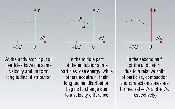 In the undulator, under the action of a passing electromagnetic wave, the velocity of electrons changes, which affects their longitudinal distribution. λ – wavelength; z – longitudinal coordinate of an electron; v – velocity of an electron