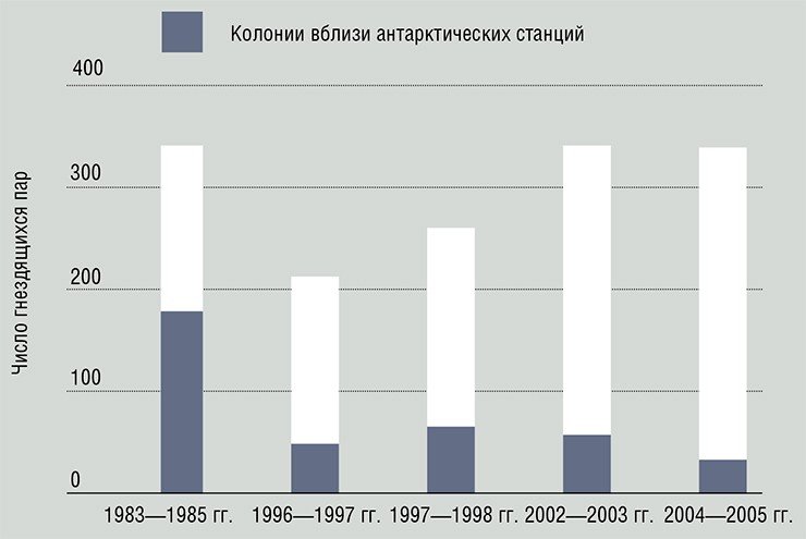Антарктические зимовочные станции человека на о-ве Кинг-Джордж оказывают выраженное отрицательное влияние на гнездящиеся колонии южного гигантского буревестника, расположенные по соседству: в них уменьшается число гнездящихся пар и выход молодняка