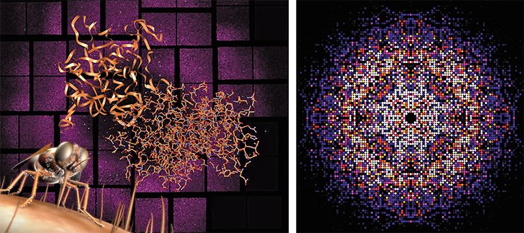 The free electron laser was used to decode the structure of the protein responsible for the African lethargy (left). Credit: Greg Stewart / SLAC National Accelerator Laboratory. The data obtained by the X-ray laser make it possible to reconstruct the three-dimensional structure of proteins and other complex organic molecules (right). Credit: Karol Nass / CFEL The free electron laser was used to decode the structure of the protein responsible for the African lethargy (left). Credit: Greg Stewart / SLAC National Accelerator Laboratory. The data obtained by the X-ray laser make it possible to reconstruct the three-dimensional structure of proteins and other complex organic molecules (right). Credit: Karol Nass / CFEL
