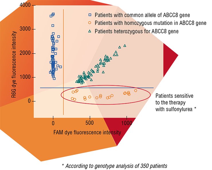 Sulfonylurea preparations – glimepiride and glibenclamide – are used as a start therapy for lowering the blood glucose level. They act on ATP-sensitive channels in the pancreatic β-cells, synthesizing insulin. This leads to a decrease in the cell transmembrane potential, activation of the voltage-dependent calcium channels, and a rapid calcium inflow into cells. This induces β-cell degranulation and insulin secretion. However, sulfonylurea therapy is effective only in the patients carrying a certain mutation in the ABCC8 gene, coding for a protein component of the ATP-sensitive calcium channel. This study was conducted by E. A. Kudryavtseva (Group of Pharmacogenetics, Institute of Chemical Biology and Fundamental Medicine, Siberian Branch, Russian Academy of Sciences, Novosibirsk) Sulfonylurea preparations – glimepiride and glibenclamide – are used as a start therapy for lowering the blood glucose level. They act on ATP-sensitive channels in the pancreatic β-cells, synthesizing insulin. This leads to a decrease in the cell transmembrane potential, activation of the voltage-dependent calcium channels, and a rapid calcium inflow into cells. This induces β-cell degranulation and insulin secretion. However, sulfonylurea therapy is effective only in the patients carrying a certain mutation in the ABCC8 gene, coding for a protein component of the ATP-sensitive calcium channel. This study was conducted by E. A. Kudryavtseva (Group of Pharmacogenetics, Institute of Chemical Biology and Fundamental Medicine, Siberian Branch, Russian Academy of Sciences, Novosibirsk)