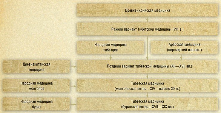 Становление и эволюция традиционной тибетской медицины – процесс длительный и сложный. На протяжение столетий тибетская медицина, опираясь на богатый эмпирический опыт монголов и бурят, заимствовала и творчески перерабатывала знания различных традиционных медицин: индийской, китайской, монгольской и персидской с целью использовать как можно больше средств и методов, избавляющих и предохраняющих человека от болезней