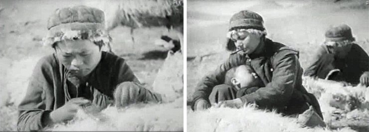 Film frames from Alone: sheep shearing 