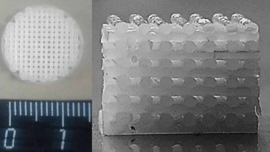 Фотография 3D-каркаса из биополимера общий вид (слева) и продольный разрез (справа) Фотография 3D-каркаса из биополимера общий вид (слева) и продольный разрез (справа)