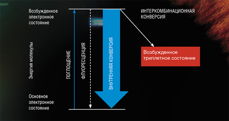 Фотофизические процессы, происходящие в органической молекуле при поглощении света, наглядно представляет диаграмма, названная в честь ее автора – польского ученого А. Яблонского. Поглощение кванта света приводит к переходу молекулы из основного состояния в возбужденное, оба из которых являются синглетными. Если взаимная ориентация спинов электронов в возбужденном состоянии изменится, молекула перейдет в возбужденное триплетное состояние. Последующие реакции такой молекулы с другими именуют фотохимическими процессами Фотофизические процессы, происходящие в органической молекуле при поглощении света, наглядно представляет диаграмма, названная в честь ее автора – польского ученого А. Яблонского. Поглощение кванта света приводит к переходу молекулы из основного состояния в возбужденное, оба из которых являются синглетными. Если взаимная ориентация спинов электронов в возбужденном состоянии изменится, молекула перейдет в возбужденное триплетное состояние. Последующие реакции такой молекулы с другими именуют фотохимическими процессами