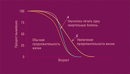 На графике выживаемости в популяции со временем количество особей снижается за счет их гибели. Если мы научимся лечить какую-то одну группу возраст-ассоциированных заболеваний, например, онкологические, но не научимся влиять на механизм старения в целом, вырастет средняя продолжительность жизни (А), но максимальная продолжительность жизни, если и изменится, то ненамного: место онкологии тут же будет занято расширившейся долей прочих старческих заболеваний. (Б). Но радикальная борьба со старением подразумевает увеличение именно максимальной продолжительности жизни. По: (Flurkey et al., 2007)