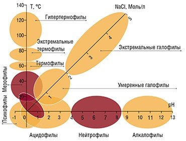 Области существования экстремофильных микроорганизмов. (Розовым цветом отмечены условия обитания организмов на оз. Доронинское). По: (В. В. Кевбрину)