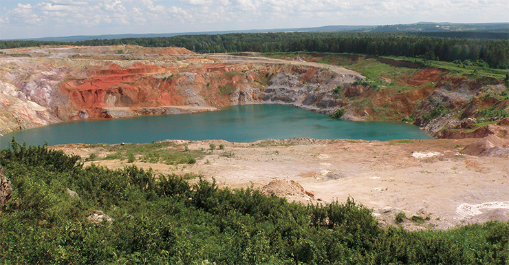Areas disturbed by mining and waste banks of mining companies are a favorable environment for the invasion of alien species. Kuzbass. Photo: A. E. Nozhinkov