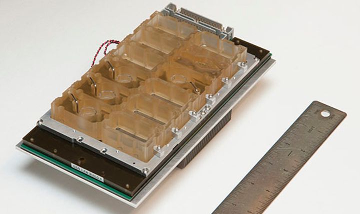 Так выглядит EVATAR™, модель женской репродуктивной системы. NIH Image Gallery Credit: Northwestern University 1740-compressor.jpg