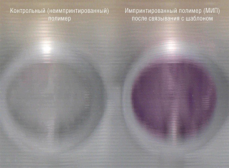 В ИХБФМ СО РАН в формате трехмерного импринтинга получены капроновые микрочастицы, обладающие повышенным сродством к молекулярному конъюгату стрептавидин-щелочная фосфатаза. Он был выбран в качестве модельного на стадии разработки, поскольку существующая система детекции щелочной фосфатазы позволяет контролировать специфическое связывание МИПа с белком и эффективность его удаления из пор полимера. Факт связывания белка фиксировался с помощью красящих субстратов: окрашивание полимерных частиц происходило только после его специфического связывания с белком