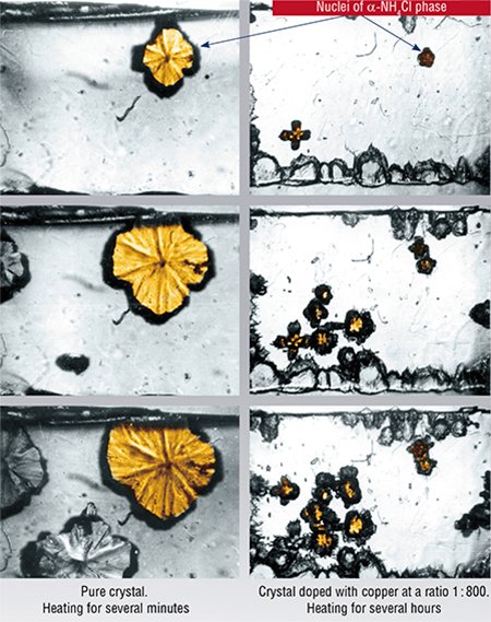 Cu²⁺ ions are efficient stoppers of the dislocation sliding during deformation of ammonium salt crystals. If only 0.1 mol.% CuCl₂ is added to the mother liquor during the growth of a NH₄Cl crystal, temperature required to begin the phase transformation increases by almost 40° C. The general picture of the phase transformation is changed as well. Pure crystals (left) experience fast phase transformation through the formation and future growth of a small number of nuclei. Doped crystals form many small nuclei. An increase of the Cu²⁺ concentration in the crystal leads to a linear growth of the microhardness of the doped material and of temperature when the phase transformation begins. For illustration purposes some nuclei are colored yellow