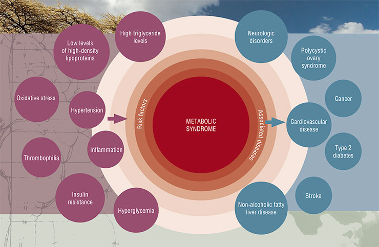 The metabolic syndrome concept is formed around the insulin resistance of cells. This syndrome is connected to the key pathologies that define the mortality structure in modern humans. Based on: (Mendrick et al., 2017)
