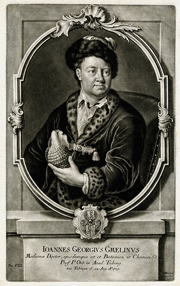 Portrait of J. G. Gmelin by Ch. J. Jacob. Mezzo-tinto. St Petersburg Branch of the Russian Academy of Sciences Archives (SPB RASA) Collеction X. Inventory 1- G. File 120