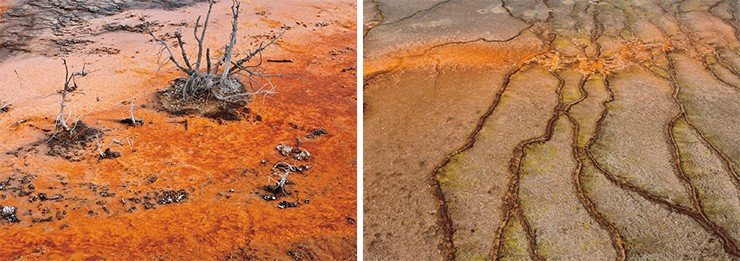 Горячая вода, содержащая соли железа, окрашивает поверхность в необычные цвета